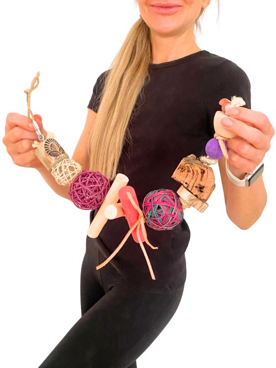 Forest Charm – hračka s proutěným košíkem pro všechny papoušky a jiné ptáky od ParrotPlanet.cz