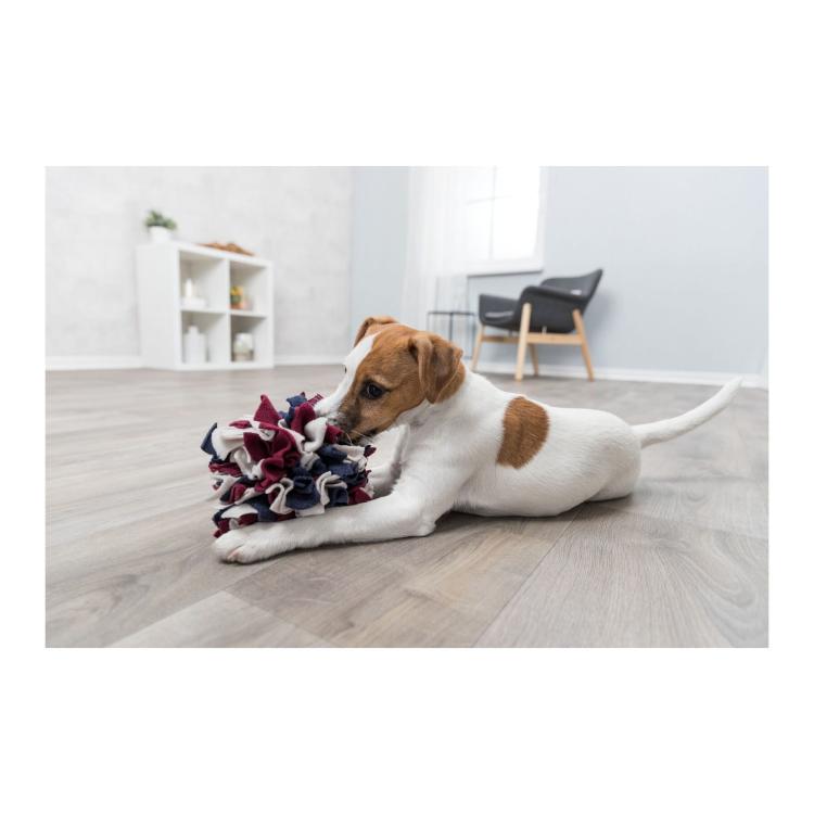 Čichová podložka/hračka pro psy od ParrotPlanet.cz