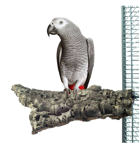 Přírodní bidélko z kůry korkového dubu, velikost XL – pro velké papoušky od ParrotPlanet.cz
