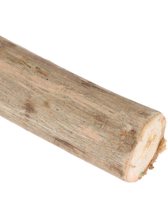 Dřevěná tyč pro papoušky z vrby – velikost L – průměr cca 3–4 cm, délka cca 30 cm od ParrotPlanet.cz