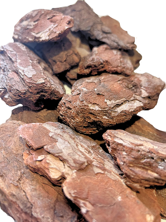 Přírodní kůra, velikost L – podestýlka pro velké papoušky, 10 litrů od ParrotPlanet.cz