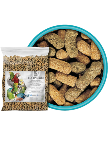 Bazén | Bezpečné koupání pro malé papoušky od ParrotPlanet.cz