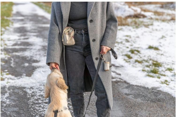 Stylový kontejner na sáčky – světle šedý od ParrotPlanet.cz