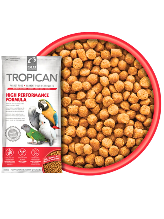 Hagen Hari Tropican Parrot High Performance Granules – Přechodné nebo každodenní krmivo v dietě se zvýšenými nutričními požadavky (mladí ptáci, ptáci v období pelichání) – 820 g od ParrotPlanet.cz