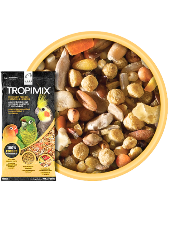 Zelená přepravka – pro malé a střední papoušky od ParrotPlanet.cz