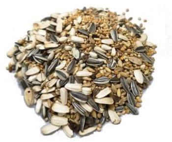 Deli Nature 59 – standardní směs pro střední papoušky, 30 % slunečnice, 15 kg od ParrotPlanet.cz