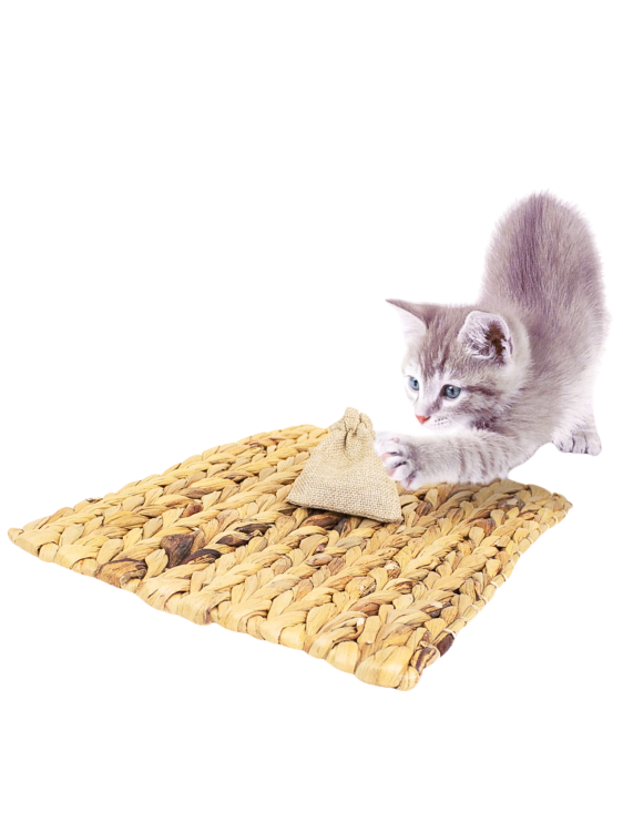 JR FARM |podložka s přísadou catnipu| hračka pro kočky od ParrotPlanet.cz