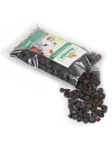 Wagner's Křupavé ovoce Bobule pro papoušky 150 g od ParrotPlanet.cz