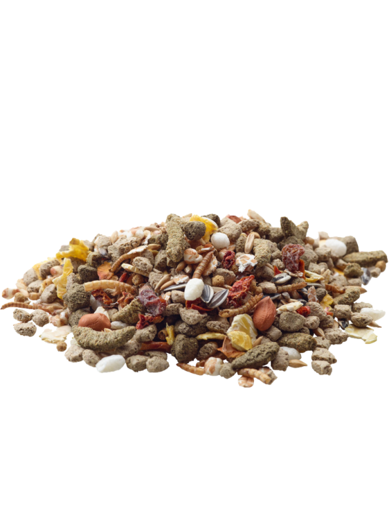 Versele Laga – Rat – Rozmanitá směs pro krysy, 2,3 kg od ParrotPlanet.cz