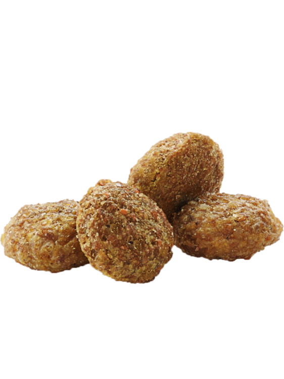 Versele Laga – Hamster &amp; Gerbil – Extrudované krmivo pro křečky a pískomily, 500 g od ParrotPlanet.cz