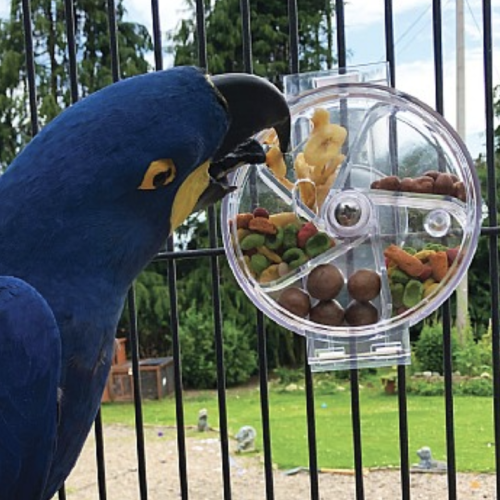 Kolo XXL na pamlsky pro papoušky od ParrotPlanet.cz