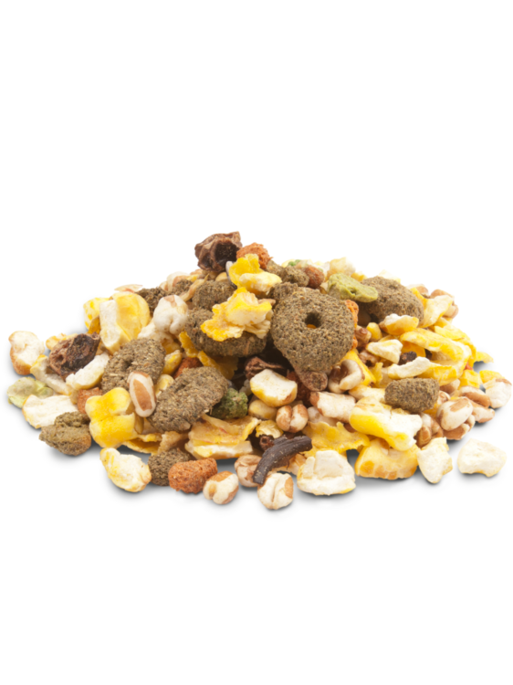 Snack Popcorn – pochoutka pro králíky a morčata, 650 g od ParrotPlanet.cz