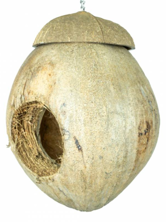 Hanging Coconut Villa – Přírodní domeček pro malé a střední papoušky od ParrotPlanet.cz