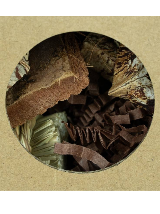 Hexagon Foraging &amp; Play Tunnel – přírodní hračka pro papoušky od Parrotplanet.cz