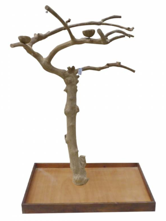 Strom JAVA Vysoký (typ AL) – velikost XL – rozměry stromu cca 170 x 120 x 80 cm od ParrotPlanet.cz