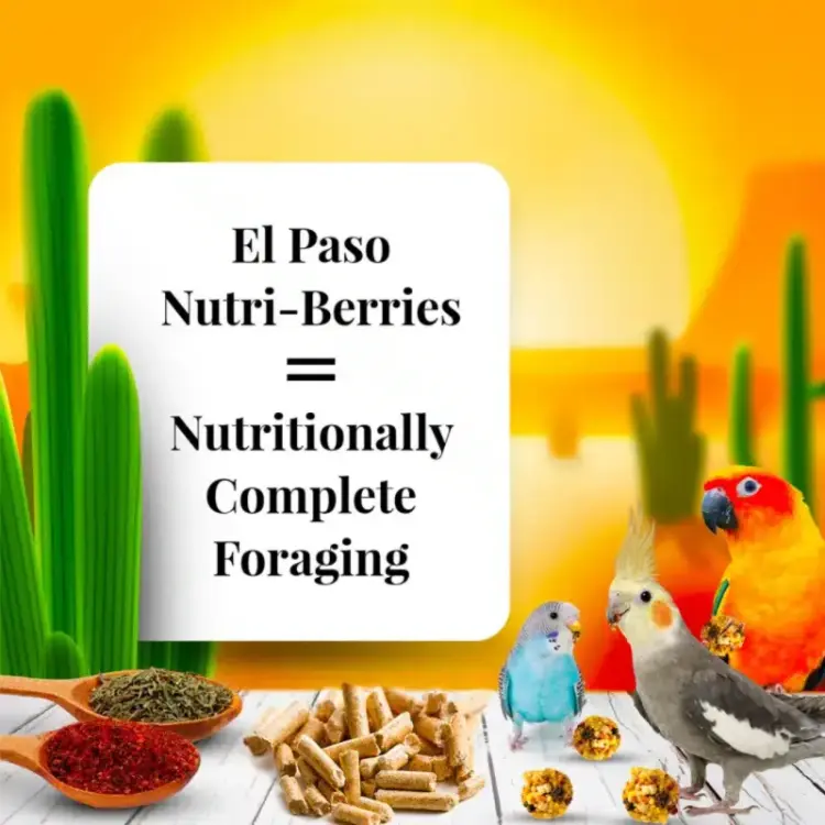Lafeber Nutri-Berries El Paso Cockatiel – Zrno s granuláty ve tvaru kuliček pro malé a střední papoušky 284 g od ParrotPlanet.cz