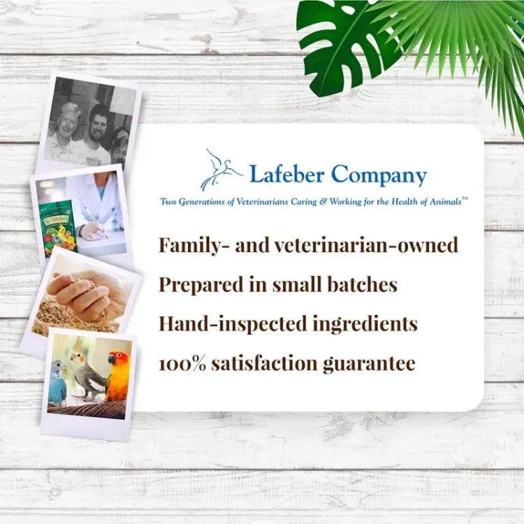 Lafeber Nutri-Berries El Paso Cockatiel – Zrno s granuláty ve tvaru kuliček pro malé a střední papoušky 284 g od ParrotPlanet.cz