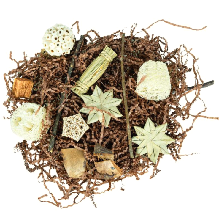 Pentagon Foraging &amp; Play Box – logická hračka pro papoušky od ParrotPlanet.cz