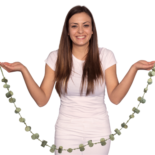 Eukalyptová žebříková lávka – hračka pro vakoveverky od ParrotPlanet.cz