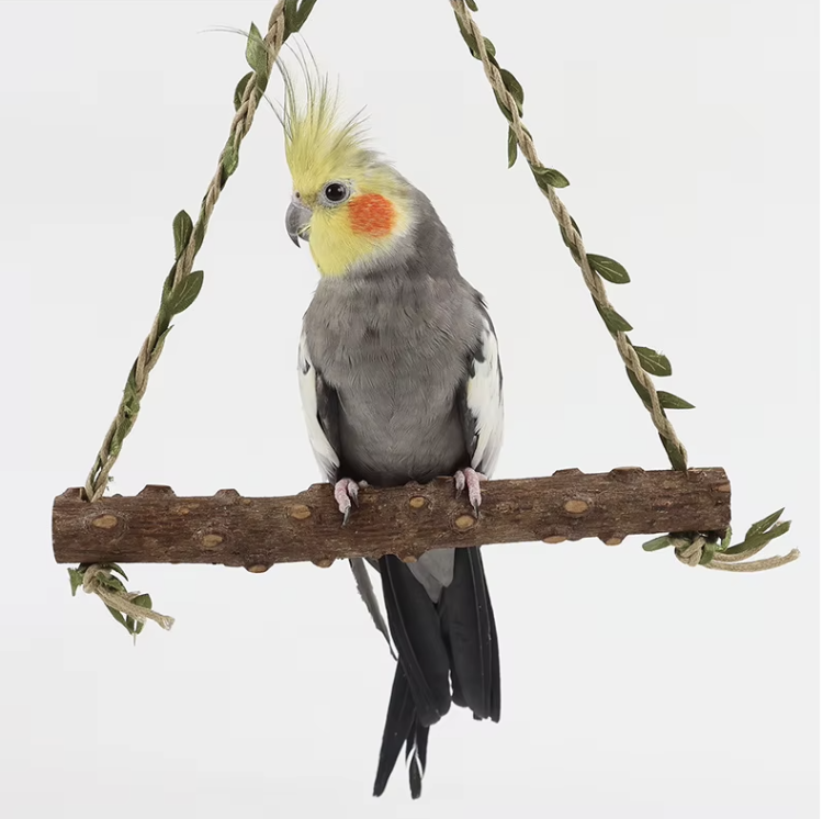 Jungle Play – houpačka pro středně velké papoušky od ParrotPlanet.cz