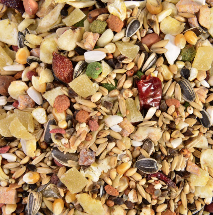 AMAZONA Wagner's - směs pro AMAZONKY 2,5 kg od ParrotPlanet.cz