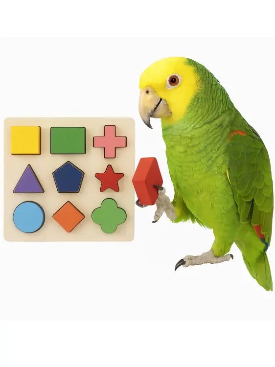 Geometrické puzzle | Logická skládačka pro všechny papoušky od ParrotPlanet.cz