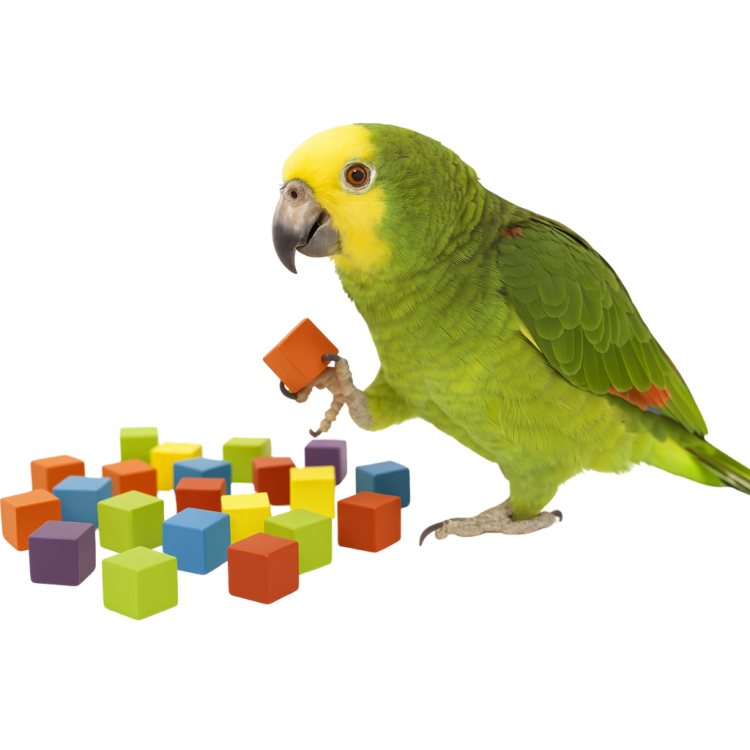 Dřevěné kostky,  barevné – hračka do tlapky nebo DIY pro papoušky, 49 kusů  od ParrotPlanet.cz