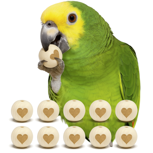 Dřevěné kuličky SRDÍČKA S – hračka pro papoušky nebo náhradní díly pro kutily od ParrotPlanet.cz