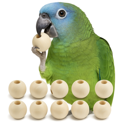 Dřevěné kuličky XL – hračka pro papoušky nebo náhradní díly pro kutily od ParrotPlanet.cz