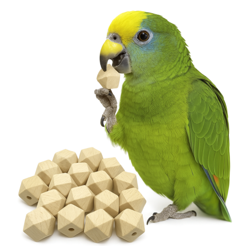 Dřevěné osmiúhelníky POLYGONUM S – hračka pro papoušky nebo náhradní díly pro kutily od ParrotPlanet.cz