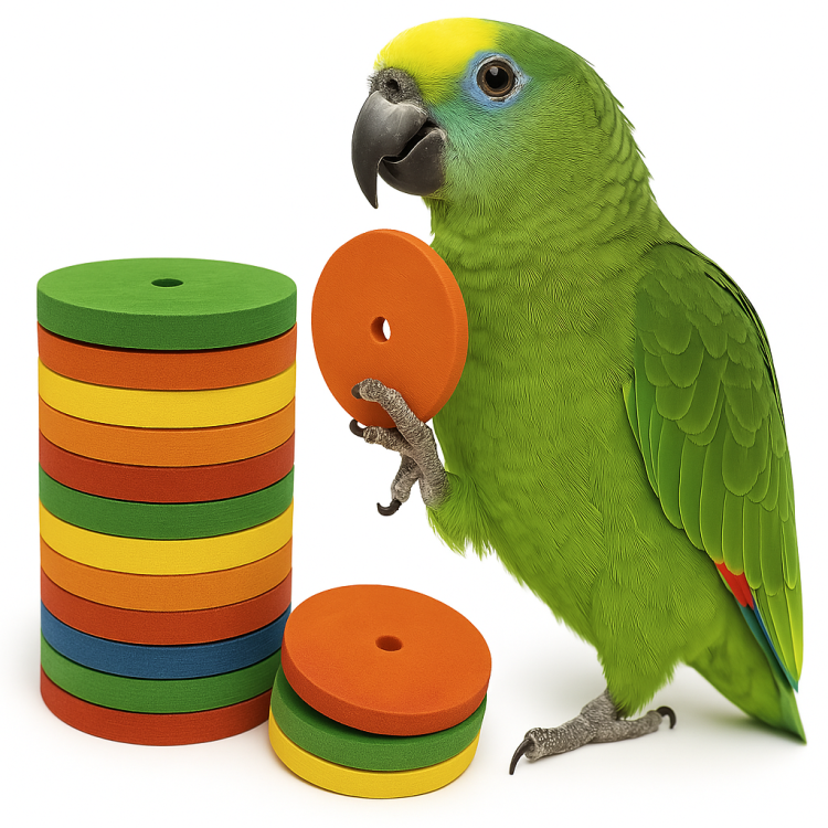 Dřevěné disky L 20 ks, průměr 4 cm – náhradní díly pro výrobu hraček pro papoušky DIY nebo hračka do klece od parrotplanet.cz