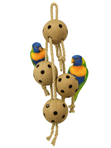 Grande Kokosen – 5 velkých kokosů na provázcích XXL – hračka pro všechny papoušky od ParrotPlanet.cz
