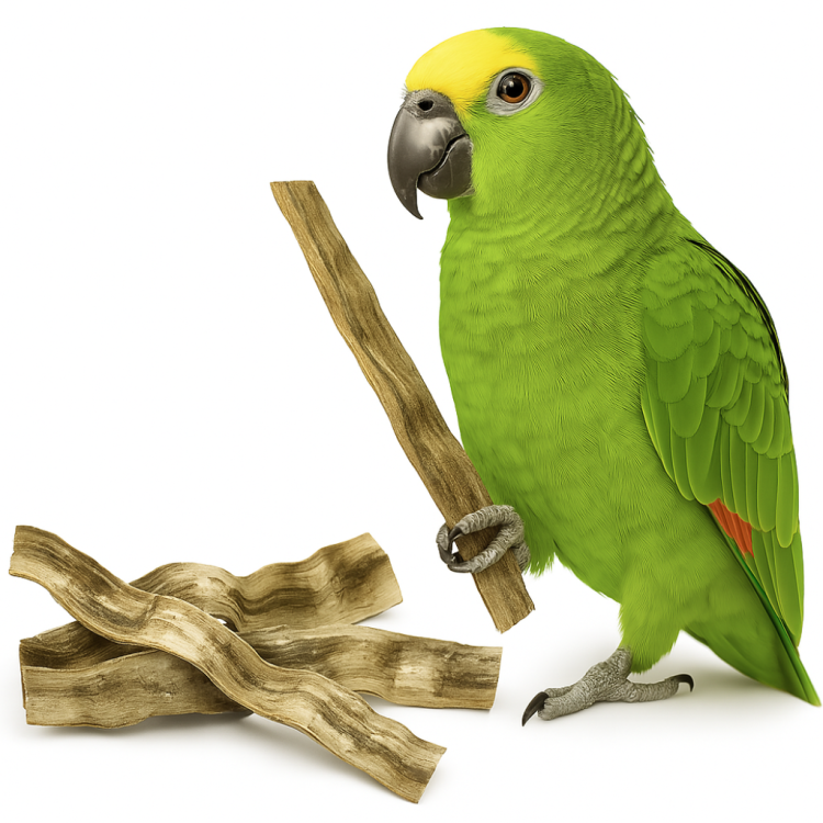 Silná brazilská liana – pro všechny papoušky 50 cm od ParrotPlanet.cz