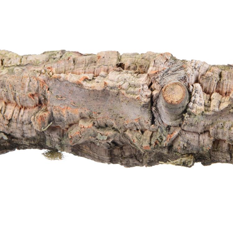 Přírodní tyčinka z kůry korkového dubu, velikost S – pro malé a střední papoušky od ParrotPlanet.cz