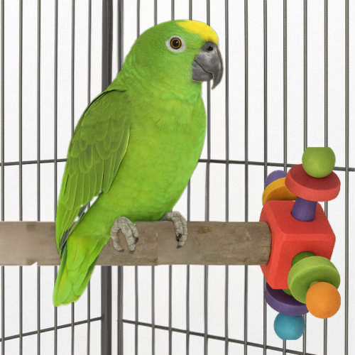 Dřevěná tyč s otočným blokem – odpočinek a zábava pro papoušky | 35 cm od ParrotPlanet.cz