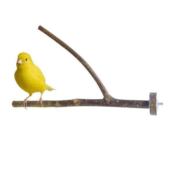 Živá příroda – pro nejmenší ptáky od ParrotPlanet.cz