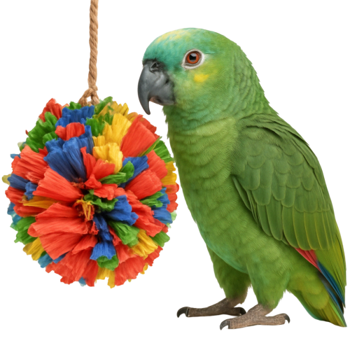 Barevný kukuřičný pompon – oblíbená hračka každého papouška  od ParrotPlanet.cz