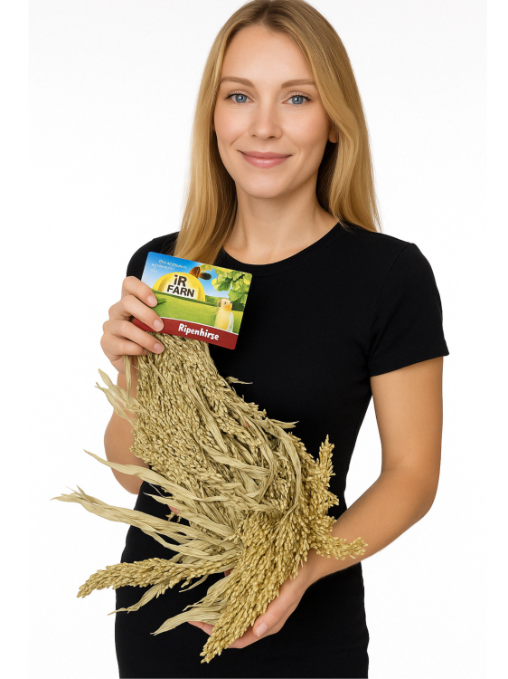 JR FARM Rozptýlené proso v klasech k okusování pro všechny papoušky 100 g od ParrotPlanet.cz