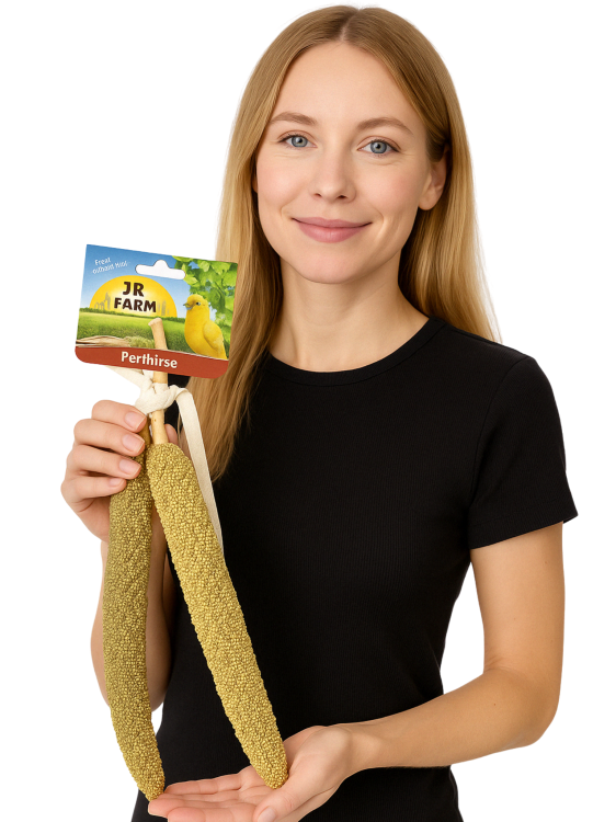 JR FARM Perlové proso v klasech k chroupání pro všechny papoušky 40 g od ParrotPlanet.cz
