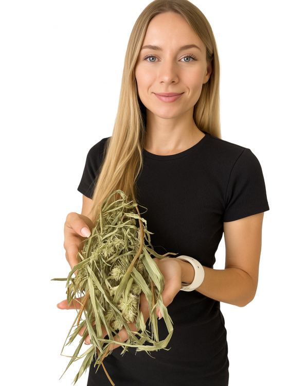 JR FARM Kanárské semínko v klasech k chroupání pro všechny papoušky 20 g od ParrotPlanet.cz