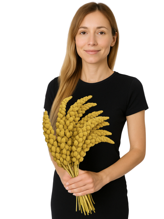 JR FARM Spray Millet Yellow – žluté proso v klasech 500 g od ParrotPlanet.cz