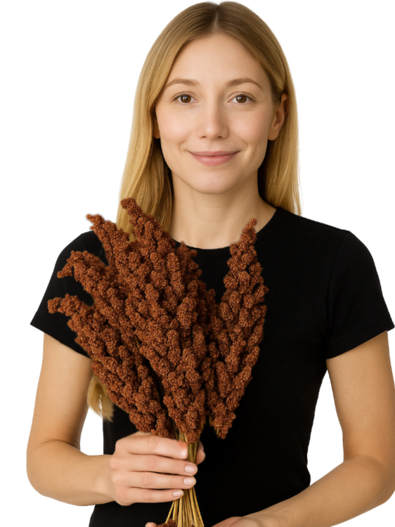 JR FARM Spray Millet red – červené proso v klasech 1 kg od ParrotPlanet.cz