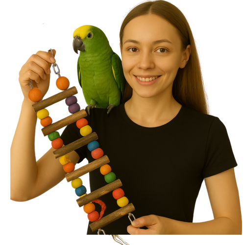 Barevný žebřík | Dřevěná přírodní hračka pro papoušky od ParrotPlanet.cz