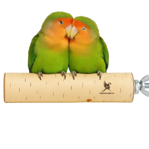 Parrot Planet Prirozene – Přírodní březová tyč pro papoušky velikost S od parrotplanet.cz