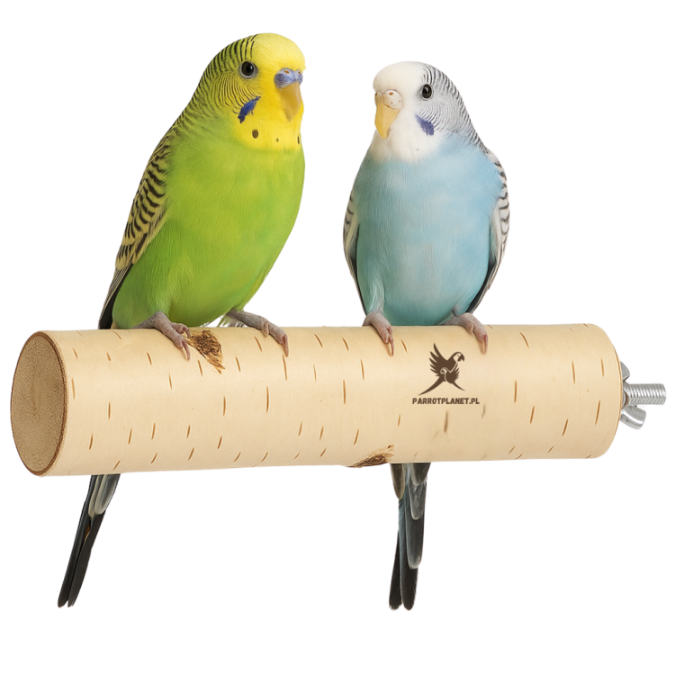 Parrot Planet Prirozene – Přírodní březová tyč pro papoušky velikost S od parrotplanet.cz