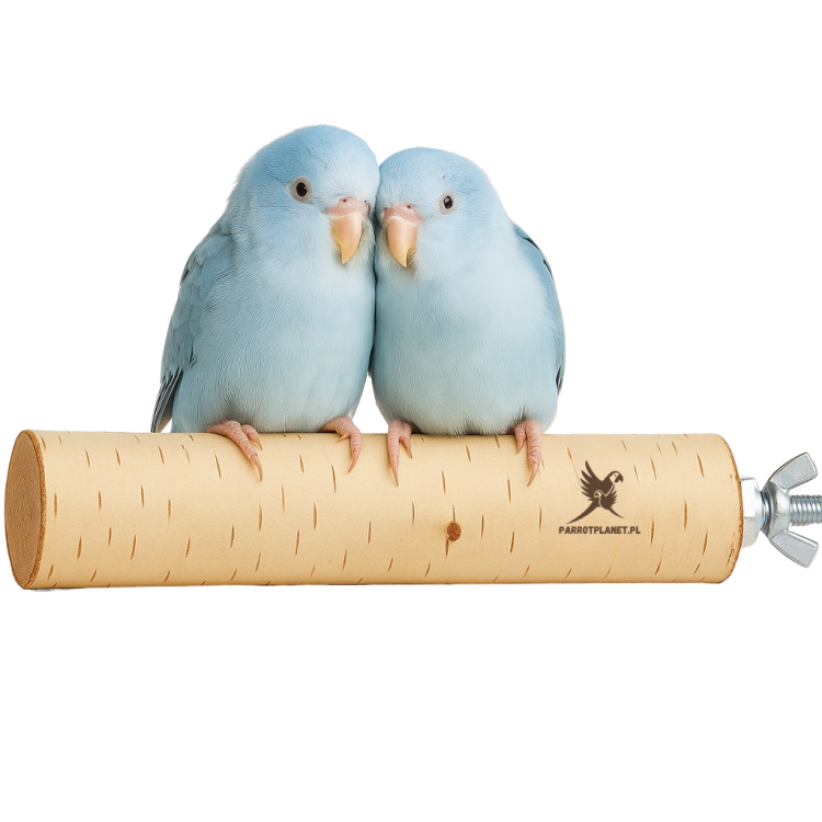Parrot Planet Prirozene – Přírodní březová tyčinka pro papoušky, velikost S – 30 cm od Parrotplanet.cz