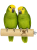 Parrot Planet Prirozene – Přírodní březová tyč pro papoušky, velikost M/L  – 30 cm od parrotplanet.cz