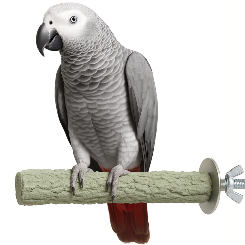 Tyč pro papoušky typu amazona nebo žako k péči o drápy L 25x5 cm od ParrotPlanet.cz