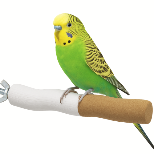 Sandy Perch USA S – tyčinka pro péči o zobák a drápky malých papoušků od ParrotPlanet.cz