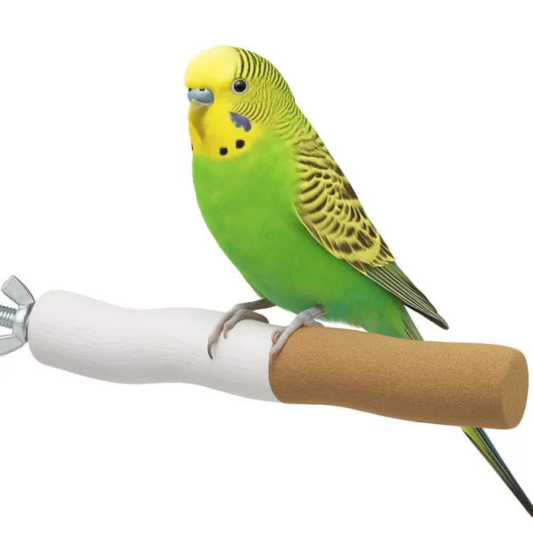 Sandy Perch USA S – tyčinka pro péči o zobák a drápky malých papoušků od ParrotPlanet.cz